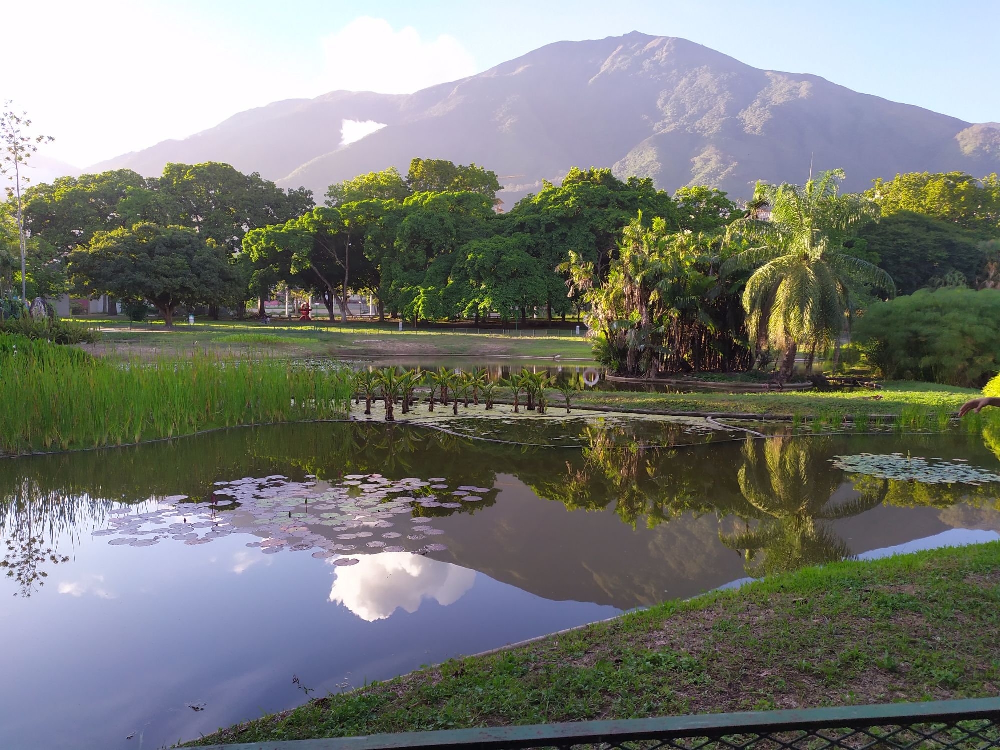 De como la mano del hombre sí es capaz de recrear la naturaleza, una de la mejores pruebas es el Parque del Este de 
Caracas.